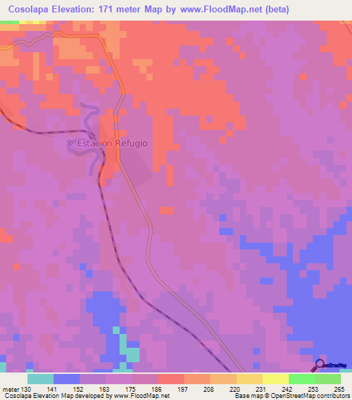 Cosolapa,Mexico Elevation Map