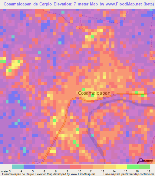 Cosamaloapan de Carpio,Mexico Elevation Map