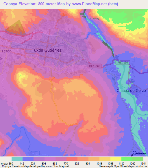 Copoya,Mexico Elevation Map