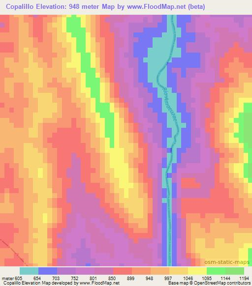 Copalillo,Mexico Elevation Map