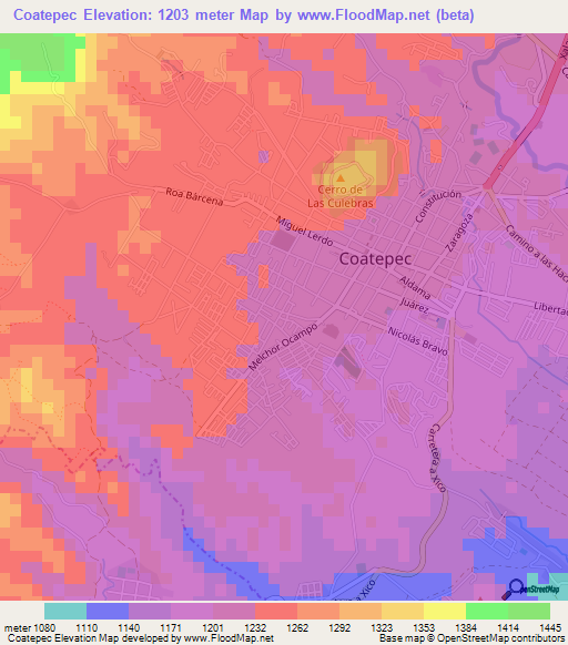 Coatepec,Mexico Elevation Map