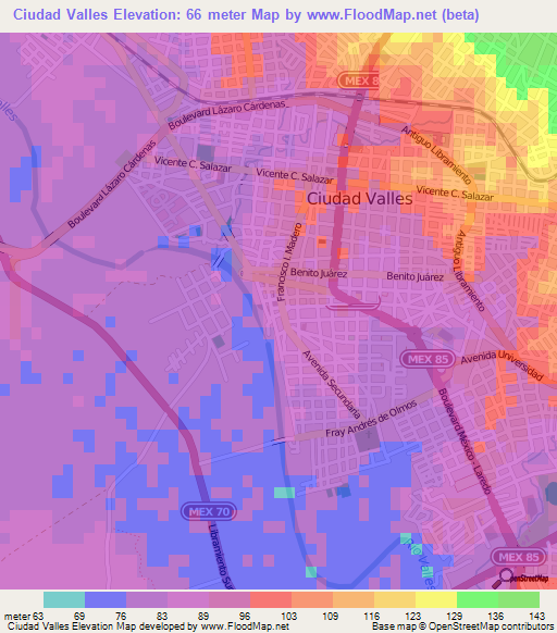 Ciudad Valles,Mexico Elevation Map