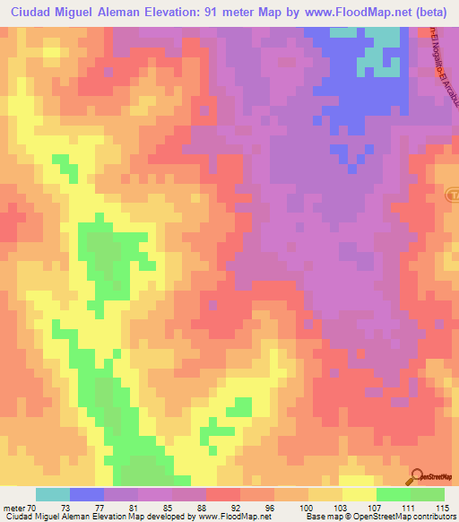 Ciudad Miguel Aleman,Mexico Elevation Map