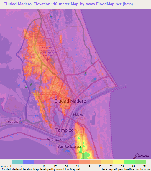 Ciudad Madero,Mexico Elevation Map