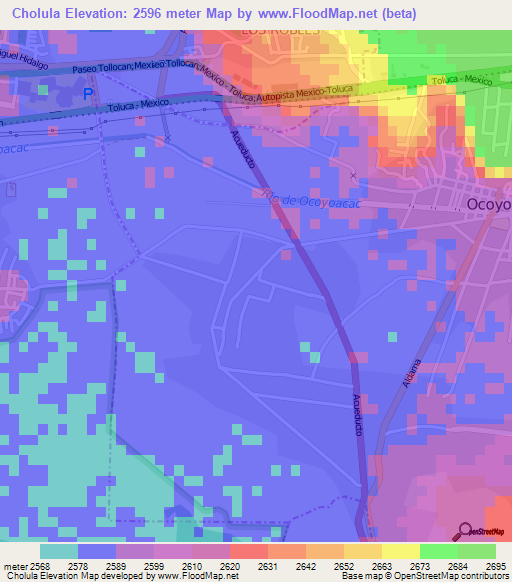 Cholula,Mexico Elevation Map