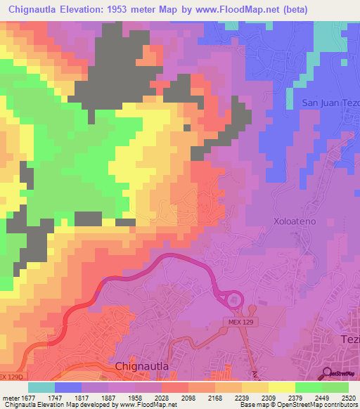 Chignautla,Mexico Elevation Map