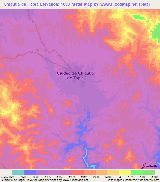 Chiautla de Tapia,Mexico Elevation Map