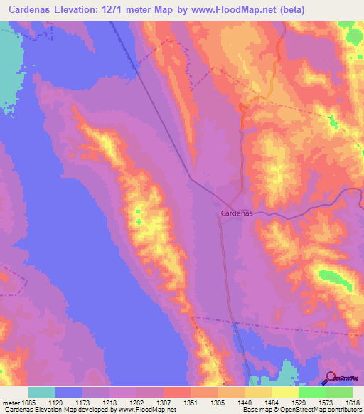 Cardenas,Mexico Elevation Map