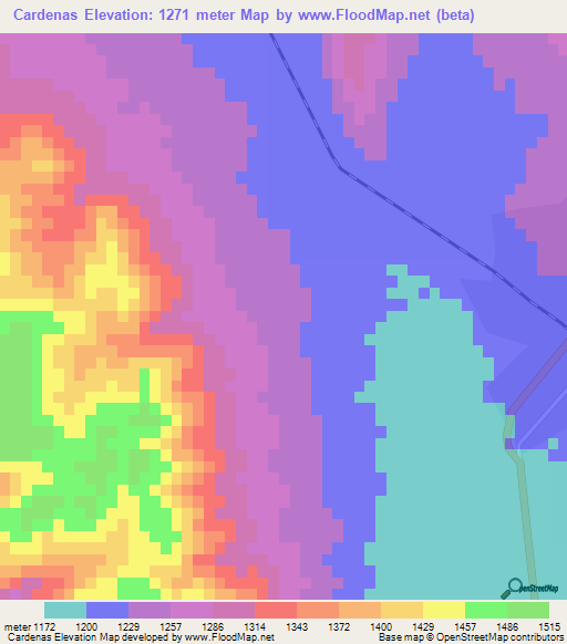 Cardenas,Mexico Elevation Map