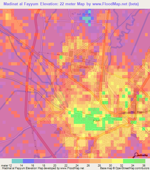 Madinat al Fayyum,Egypt Elevation Map