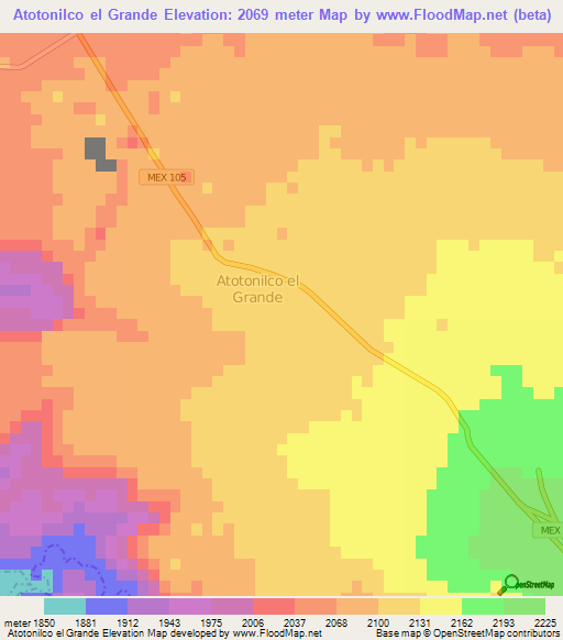 Atotonilco el Grande,Mexico Elevation Map