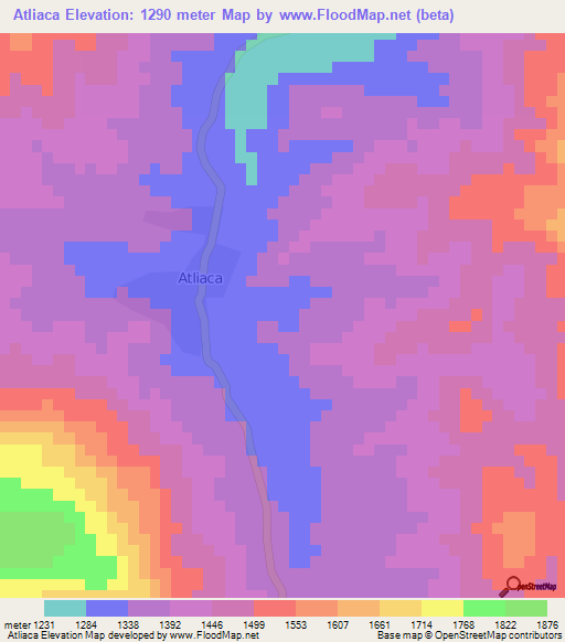 Atliaca,Mexico Elevation Map