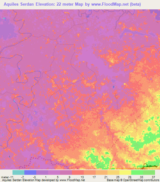 Aquiles Serdan,Mexico Elevation Map