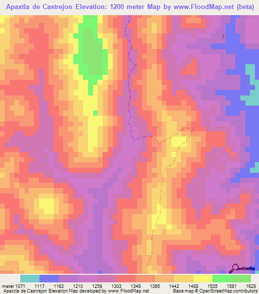 Apaxtla de Castrejon,Mexico Elevation Map