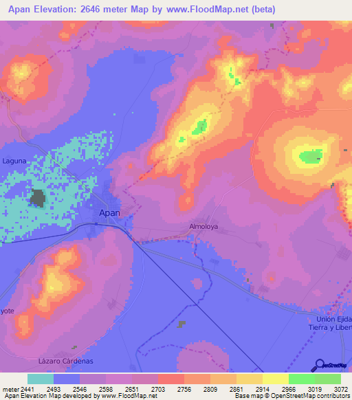 Apan,Mexico Elevation Map