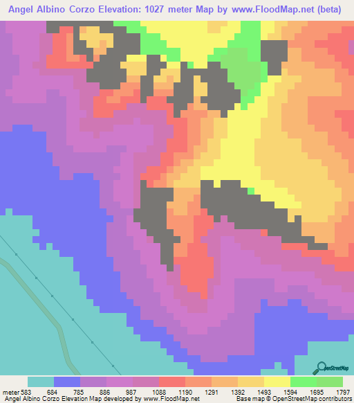 Angel Albino Corzo,Mexico Elevation Map