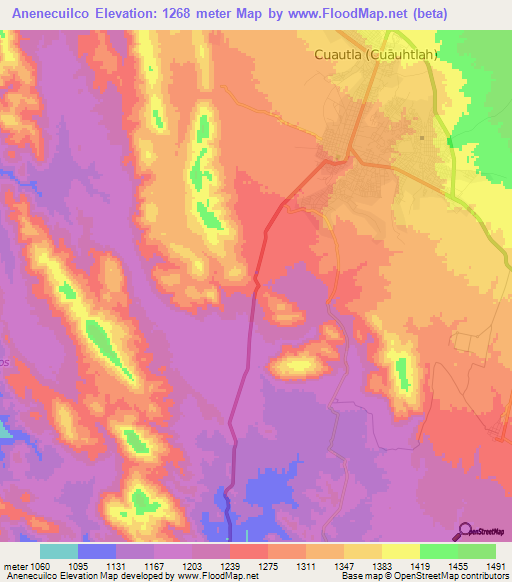 Anenecuilco,Mexico Elevation Map