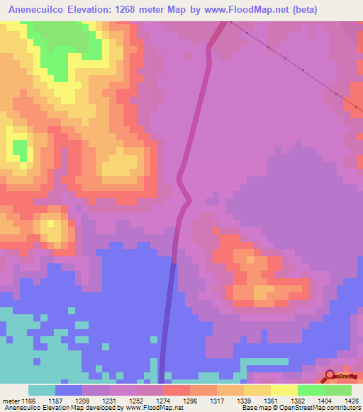 Anenecuilco,Mexico Elevation Map