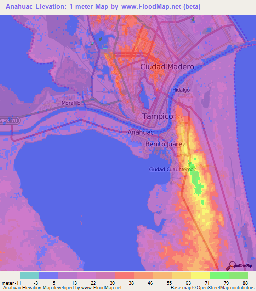 Anahuac,Mexico Elevation Map