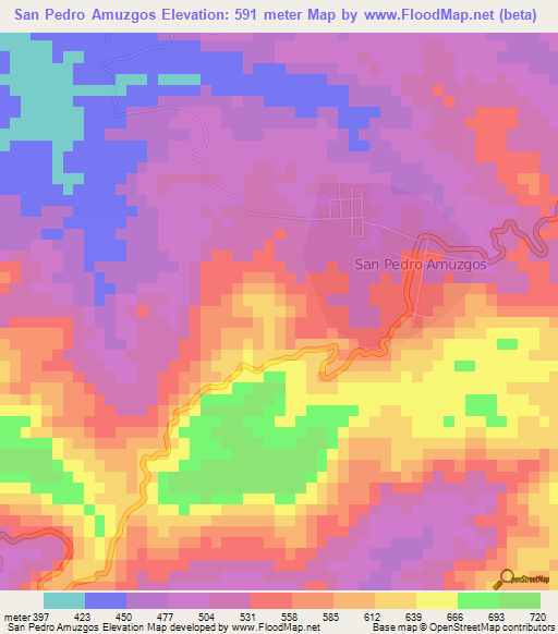 San Pedro Amuzgos,Mexico Elevation Map