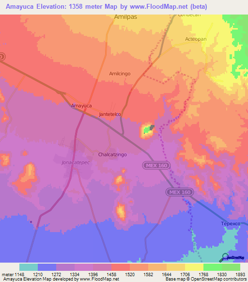 Amayuca,Mexico Elevation Map