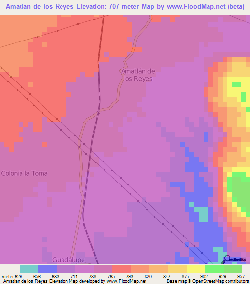 Amatlan de los Reyes,Mexico Elevation Map