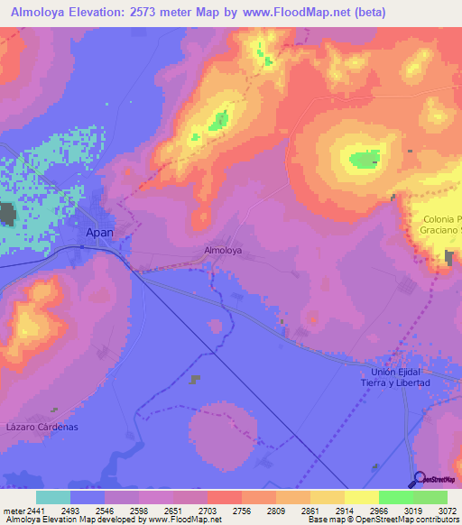 Almoloya,Mexico Elevation Map