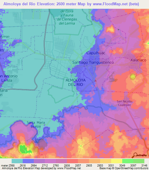 Almoloya del Rio,Mexico Elevation Map