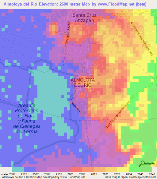 Almoloya del Rio,Mexico Elevation Map