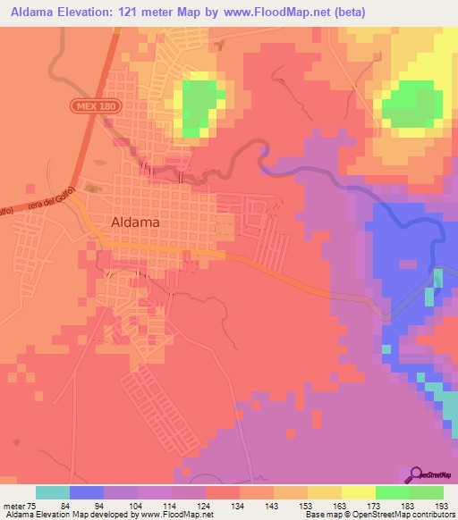 Aldama,Mexico Elevation Map