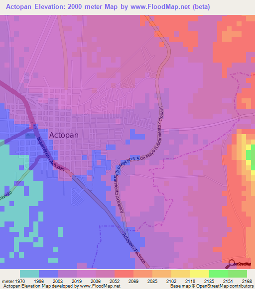 Actopan,Mexico Elevation Map