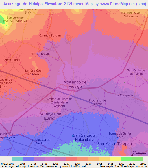 Acatzingo de Hidalgo,Mexico Elevation Map