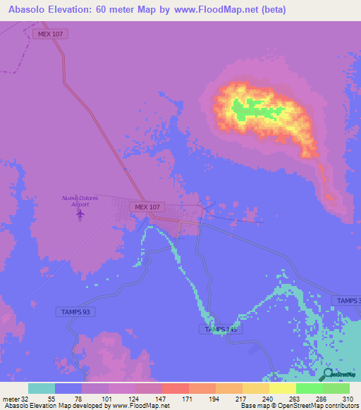 Abasolo,Mexico Elevation Map