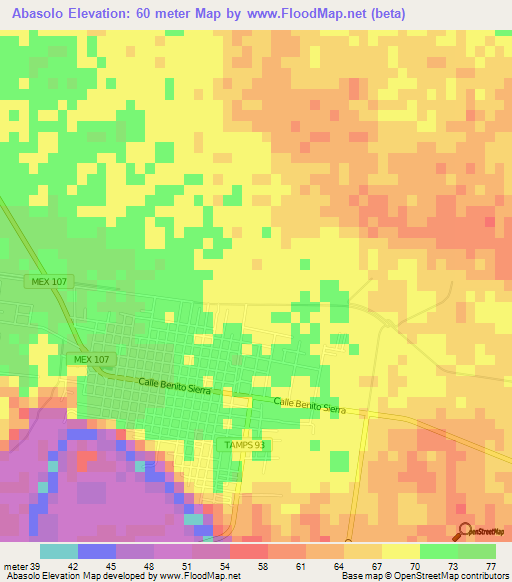 Abasolo,Mexico Elevation Map