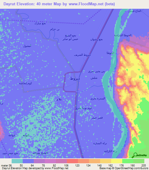 Dayrut,Egypt Elevation Map