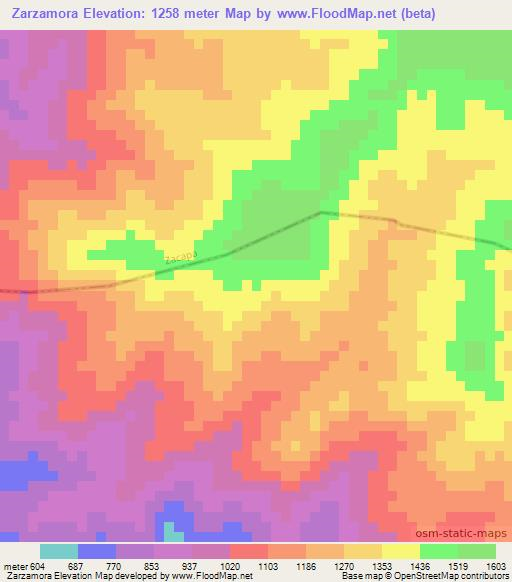 Zarzamora,Guatemala Elevation Map