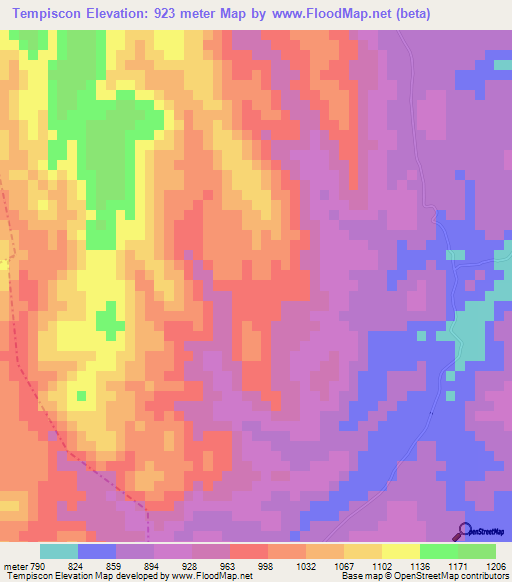 Tempiscon,Guatemala Elevation Map