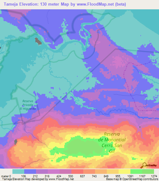 Tameja,Guatemala Elevation Map