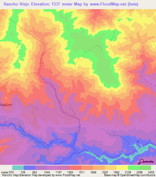 Rancho Viejo,Guatemala Elevation Map