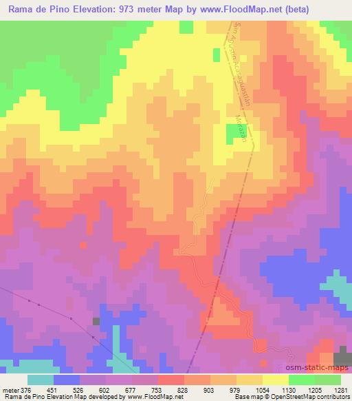 Rama de Pino,Guatemala Elevation Map