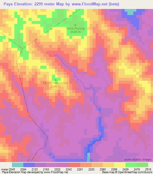 Paya,Guatemala Elevation Map