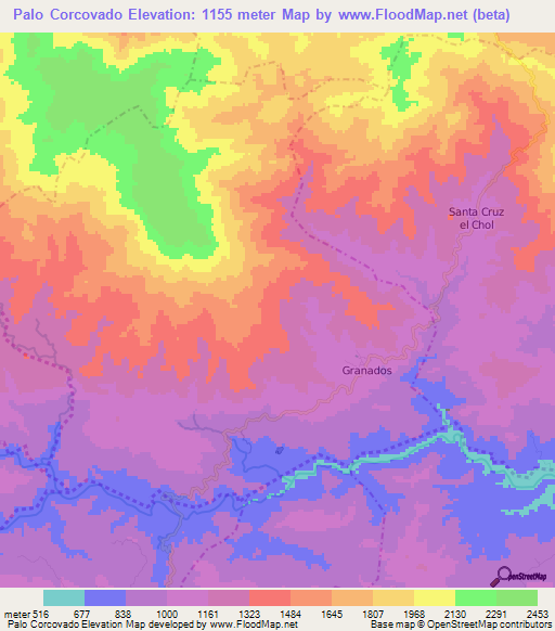 Palo Corcovado,Guatemala Elevation Map