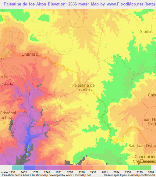 Palestina de los Altos,Guatemala Elevation Map