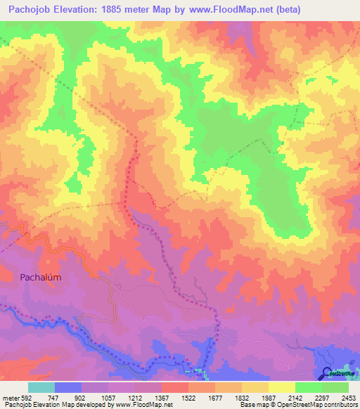 Pachojob,Guatemala Elevation Map