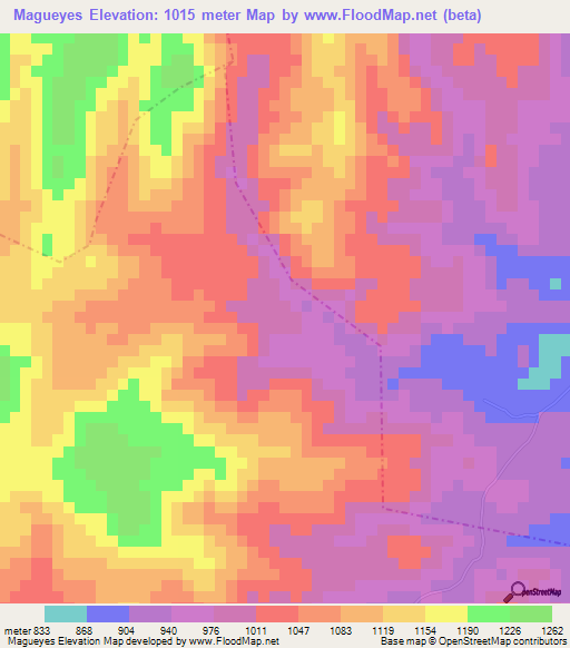 Magueyes,Guatemala Elevation Map