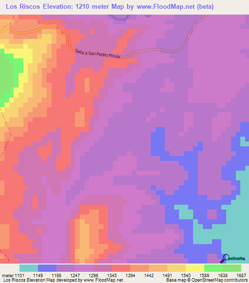 Los Riscos,Guatemala Elevation Map