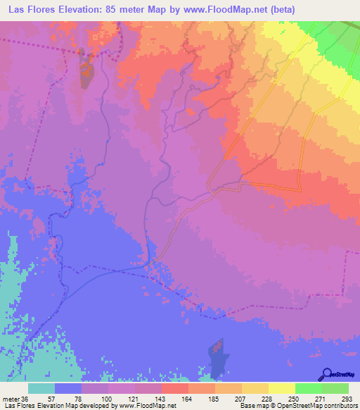 Las Flores,Guatemala Elevation Map