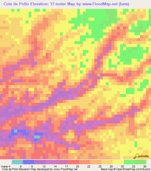 Cola de Pollo,Guatemala Elevation Map