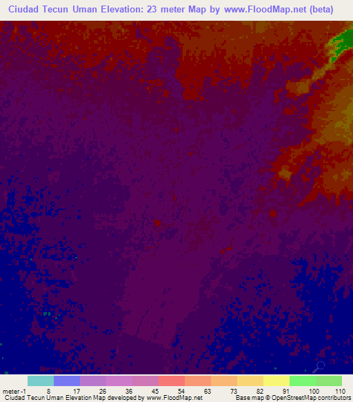 Ciudad Tecun Uman,Guatemala Elevation Map