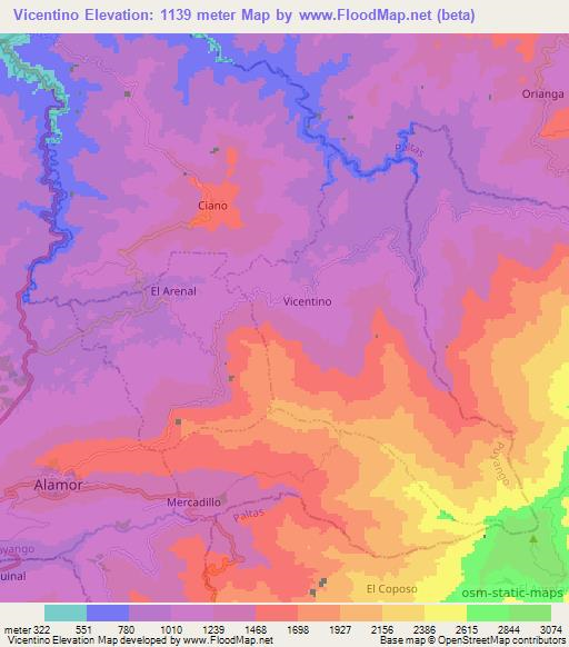 Vicentino,Ecuador Elevation Map